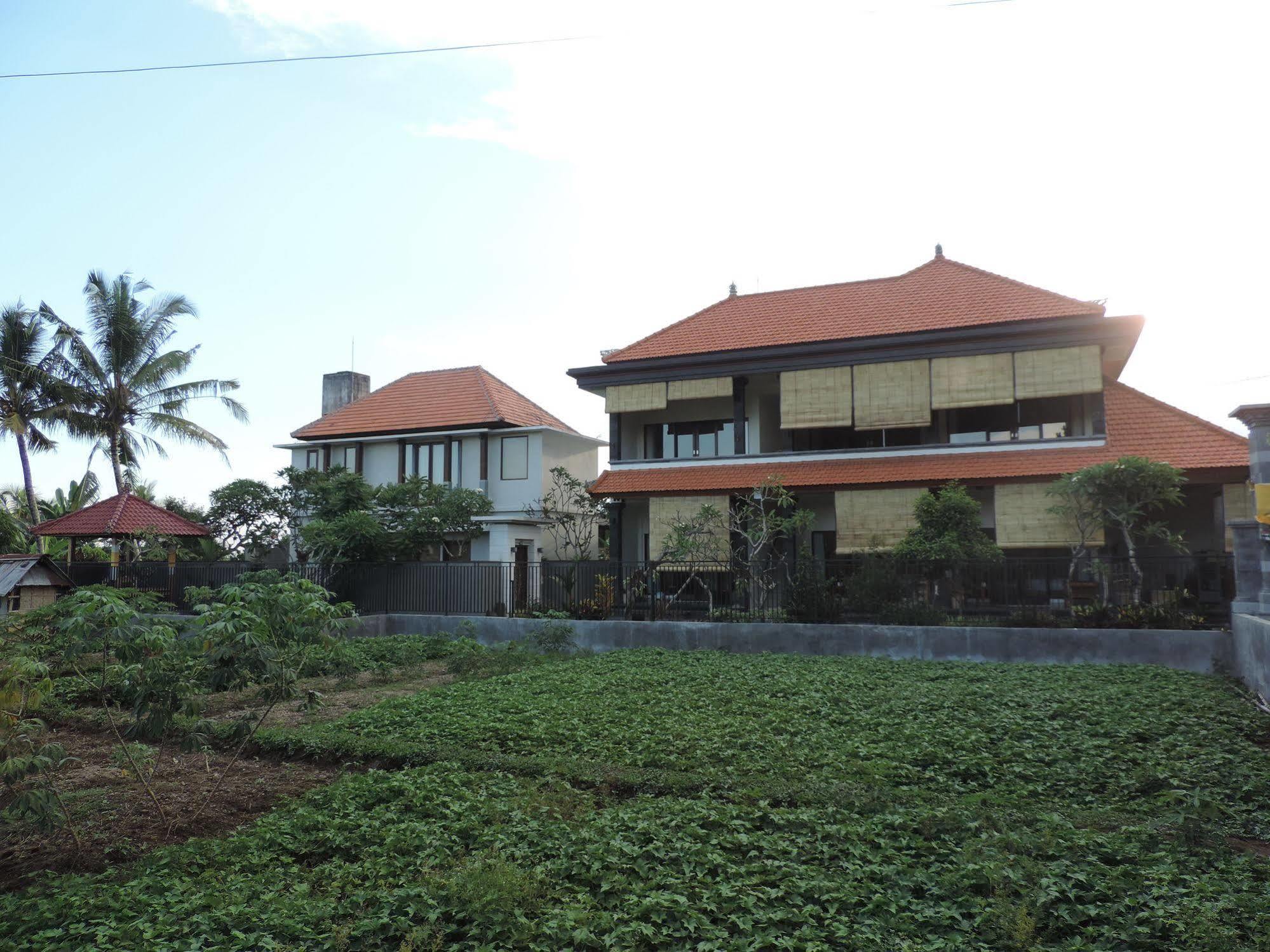 Duana'S Homestay Ubud Eksteriør bilde