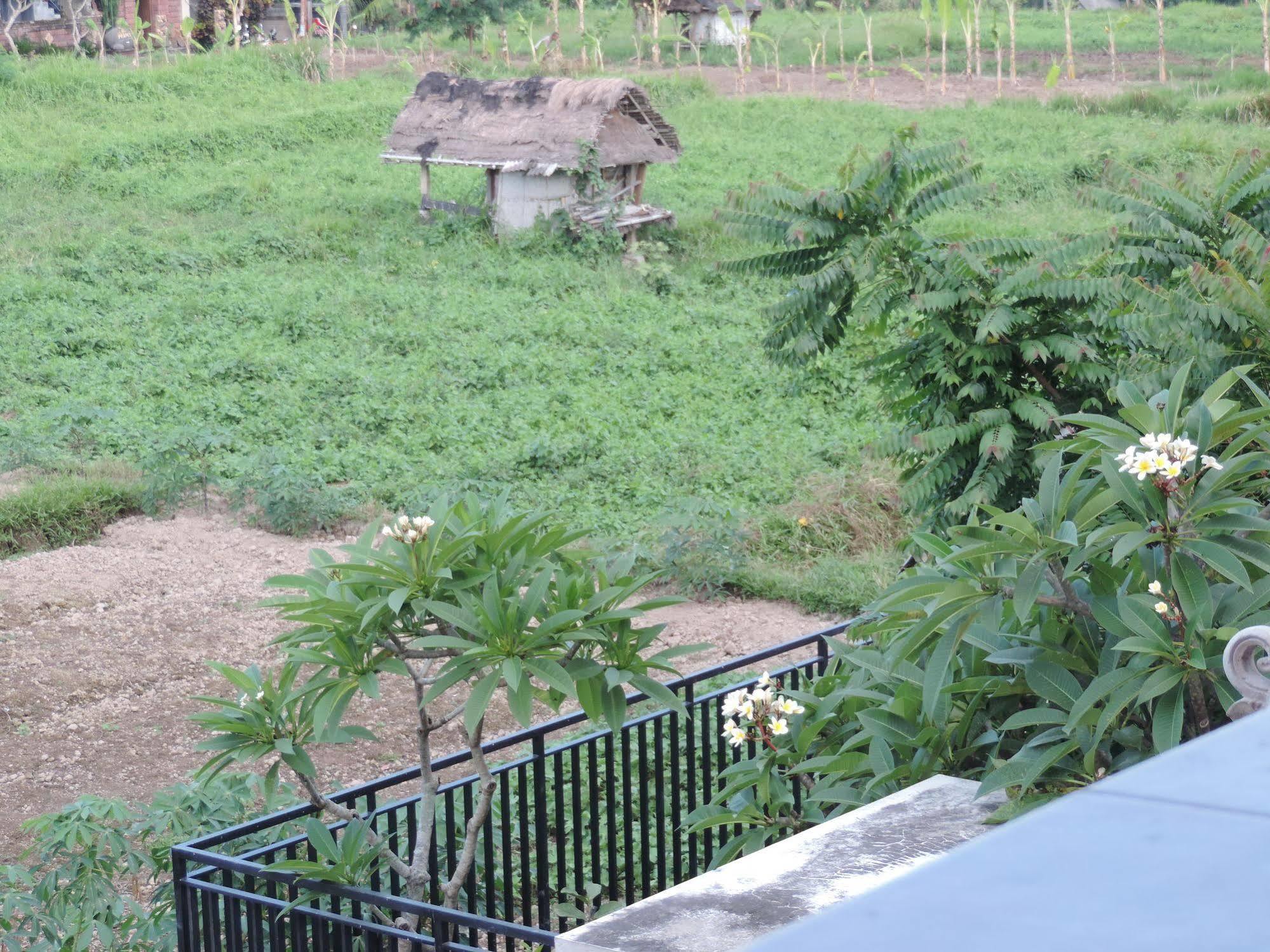 Duana'S Homestay Ubud Eksteriør bilde