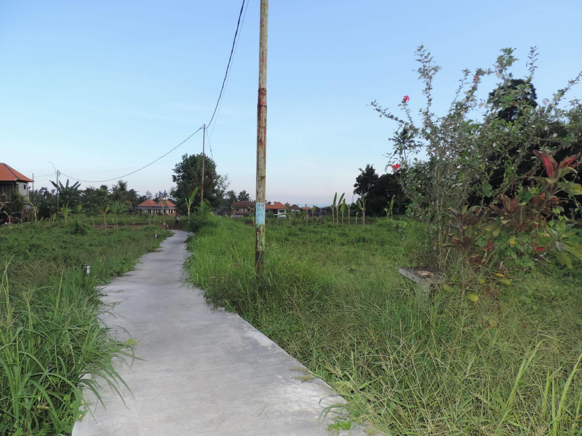 Duana'S Homestay Ubud Eksteriør bilde